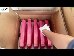 এলটেক রেক্টিফায়ার মডিউল ফ্ল্যাটপ্যাক২ 48/3000HE 48V 3000W উচ্চ দক্ষতা (পার্ট নং 241119.105)